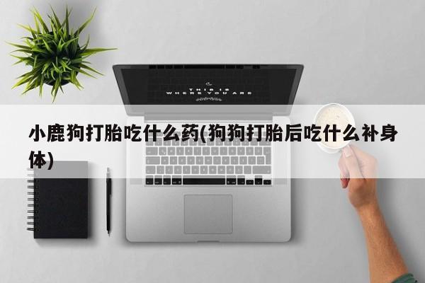药流药货到付款小鹿狗打胎吃什么药(狗狗打胎后吃什么补身体)