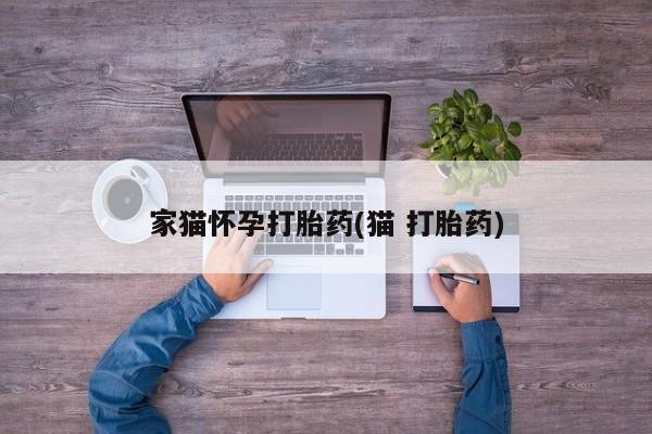 药流药货到付款家猫怀孕打胎药(猫 打胎药)